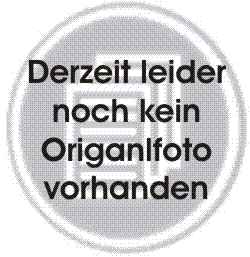 Doppelhaushälfte in Rheinfelden NEUBAU